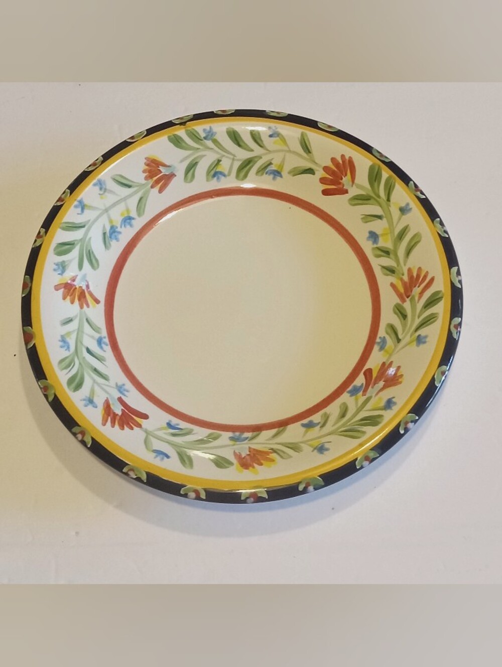 Pier 1 Doneva 8 1/4" Salad Soup Pasta Plate Bowl Hand Painted.Great condition!